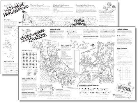 Pick your own free resource every week with our newsletter. 11 Best Images of Printable Ecosystem Worksheets - Food ...