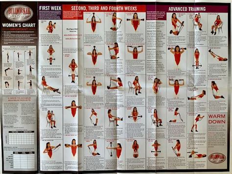 Chart X5 Mens And Womens Routine Bullworker Personal Home Fitness