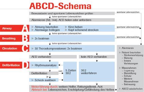 Österreich (deutsch) belgien (französisch) belgien (niederländisch) schweiz (deutsch) schweiz (französisch) schweiz (italienisch) tschechische republik. Abcde schema rettungsdienst pdf | hier tagesaktuelle ...