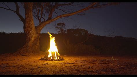 4k Campfire At Night Australian Outback 1 Hour Youtube