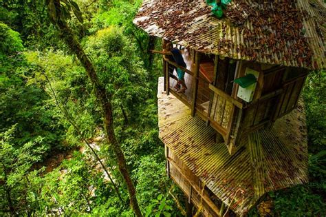 Top 7 Awesome Eco Friendly Treehouse Hotels Javis Travel Blog Go