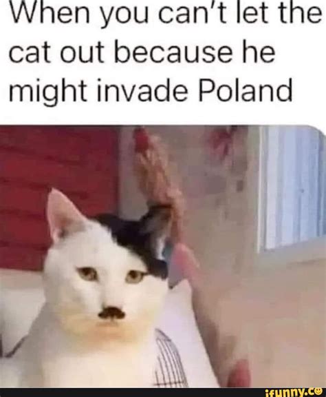 When You Cant Let The Cat Out Because He Might Invade Poland Ifunny