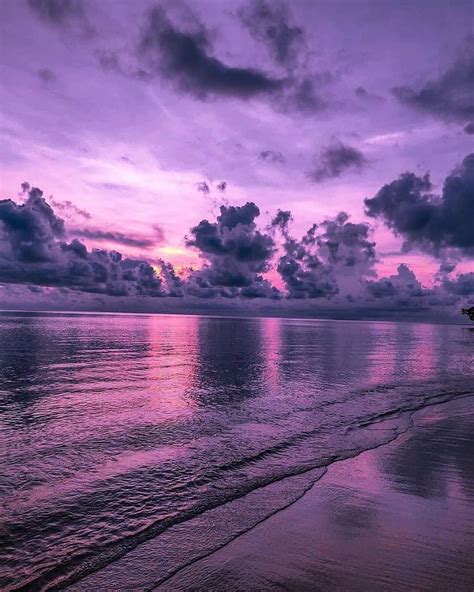 ︎ ︎ ︎ On Twitter Purple Sunset