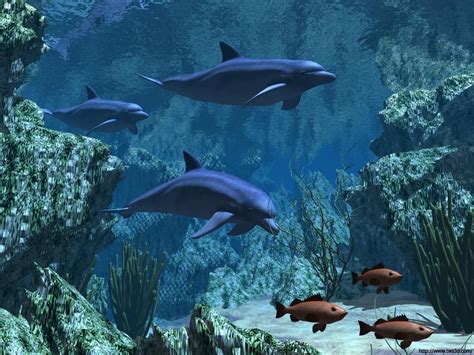 Des films d'animations de studios pixar, dreamworks et disney ayant conçu des films comme shrek, toy story, l'age des glaces, en passant. Télécharger fonds d'écran dauphin gratuitement