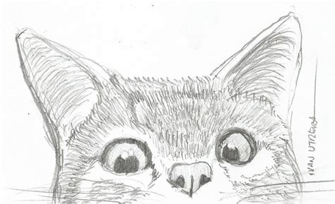 10 Dibujos A Lapiz Gatos