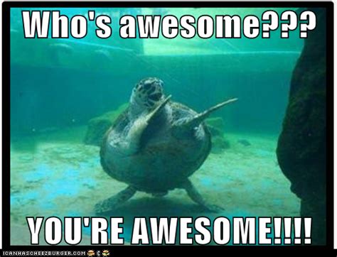 Whos Awesome Youre Awesome Funny Pictures Funny Animal