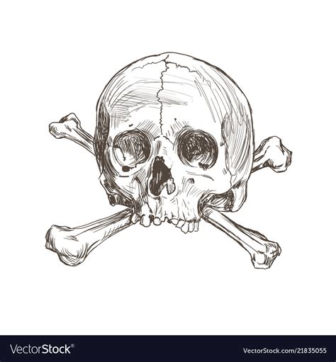 Hand Drawing Skull And Bones Royalty Free Vector Image