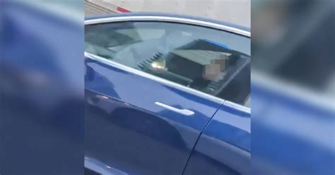 tesla driver appears to be asleep behind the wheel on toronto s busy highway 401