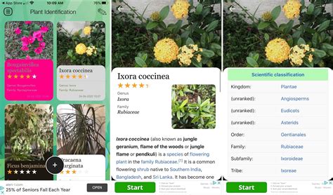 600,000+ plants in our searchable database. The best flower and plant identifier apps for iPhone