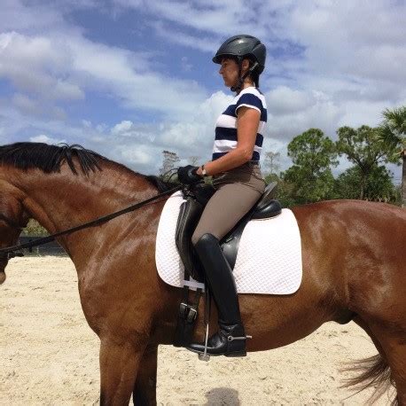 Shallow sleepers who do not reach these stages may sleep an entire night yet not feel rested or alert when they awake. The Perfect Sitting Trot - The Horse in Motion