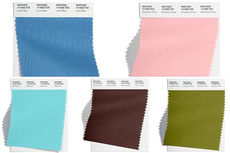 Murder Adopt Entrepreneur Pantone Color Forecast 2020 Experience