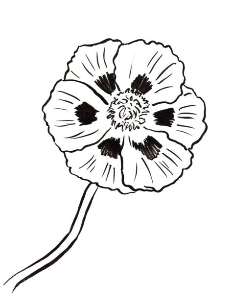 Red Poppy Coloring Page Coloring Pages