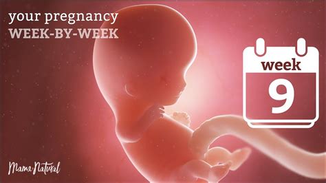 9 Weeks Pregnant Natural Pregnancy Week By Week Youtube