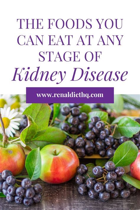 Nutrition is key to managing kidney disease and your overall health. Foods for All Stages of CKD | Kidney friendly diet, Renal ...