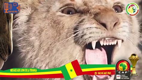 Hommage Aux Lions De La Teranga Youtube