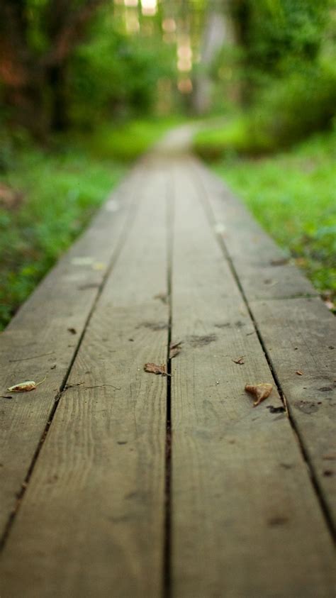 Free Download Path Wallpaper 3 2560 X 1600 Stmednet 2560x1600 For