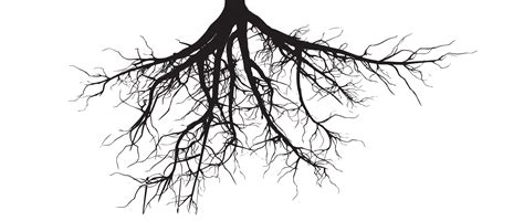 Jan Tree With Roots Clipart Black And White Png Image My Xxx Hot Girl