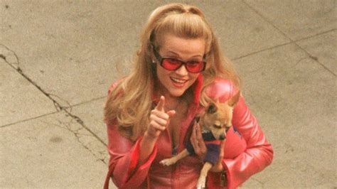 Legally Blonde Turns 20 Five Fascinating Facts Abc Audio Digital