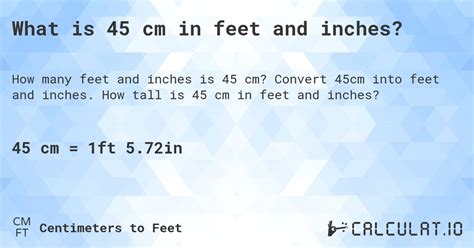 What Is 45 Cm In Feet And Inches Calculatio