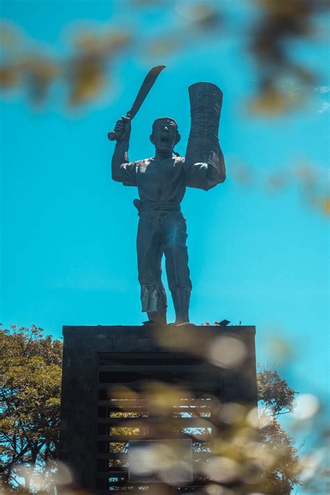 Pattimura met onscherpe bladeren op de voorgrond — MOZA | Je dagelijkse