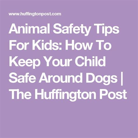 7 Tips To Keep Kids Safe Around Dogs Kids Safe Keeping Kids Safe