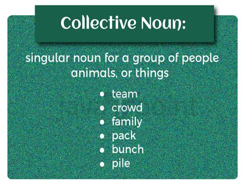 Collective Noun Definition And Examples Javatpoint