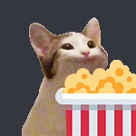 Cat Jam Popcorn Gif Cat Jam Popcorn Cat Discover Share Gifs