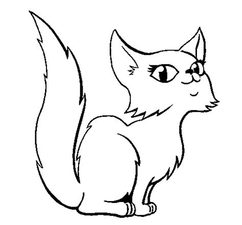 Dibujo de Gata persa para Colorear - Dibujos.net