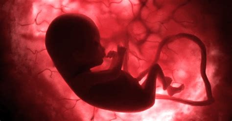 Womb Transplants Will Soon Be A Reality In India Pune Hospital To