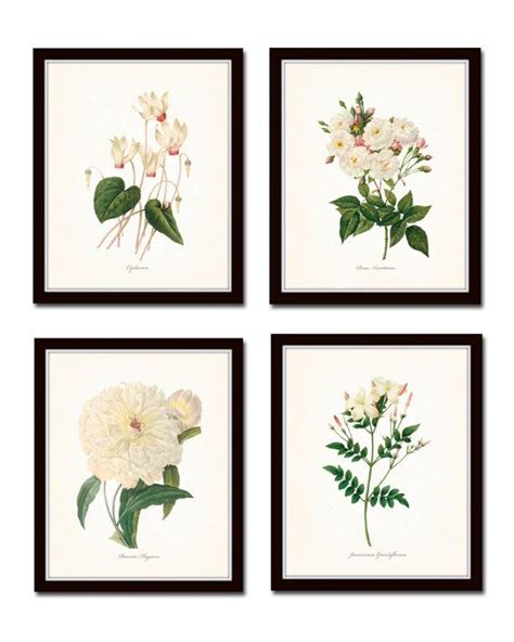 Redoute White Botanicals Print Set No 2 Giclee Art Prints Etsy