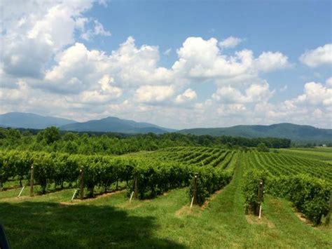 Grace Estate Winery Crozet 2021 All You Need To Know Before You Go