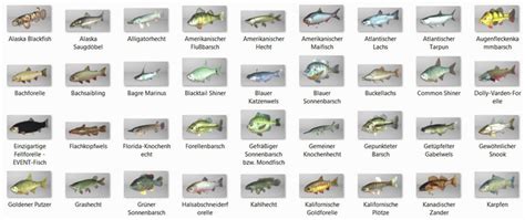 Fischarten Caruptors Fishingplanet Guides Webseite