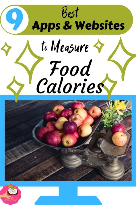 Not only will you gain access to a coach and custom plan, but this also opens the door to healthy recipes and. Top 9 Best Food Calorie Calculators - Apps and Websites in ...