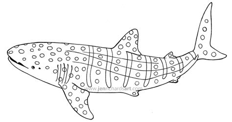 Basking Shark Pages Coloring Pages