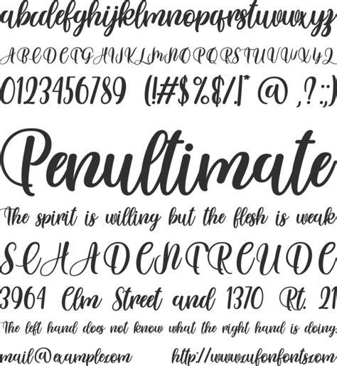 Free Font With Tails Download High Quality Modern Fonts For Personal