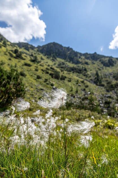 Premium Photo Idyllic Mountain Landscape In The Alps Beautiful