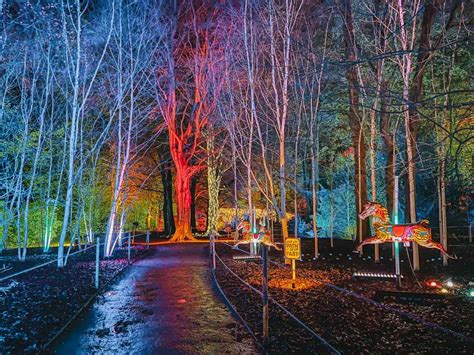 Magical Dunham Massey Christmas Lights Trail Review 2023