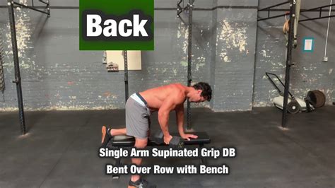 Supinated Grip Dumbbell Bent Over Row On Bench Back Rear Delt