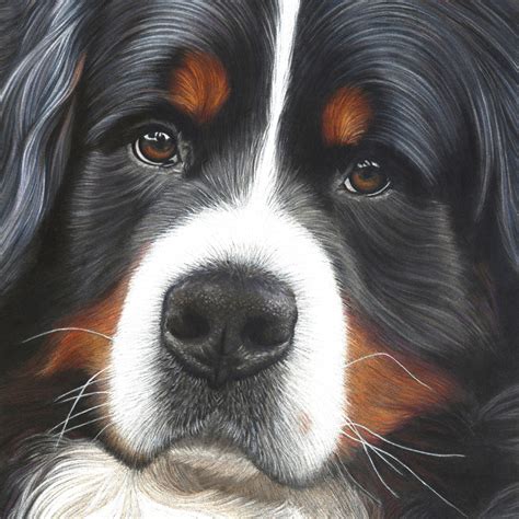 Pet Portraits And Animal Art By Uk Artist Donna Dog