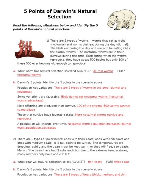 Use an interactive pad to model how to complete each of the. 5 Points of Natural Selection - Answer Key (1) | Natural ...