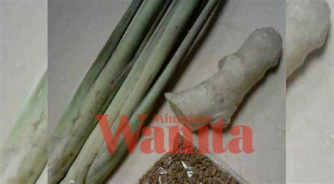 Serai dan halia rawatan untuk kebas anggota badan yang mujarab impiana. Air Rebusan Halba, Halia & Serai, Petua Hilangkan Kebas ...