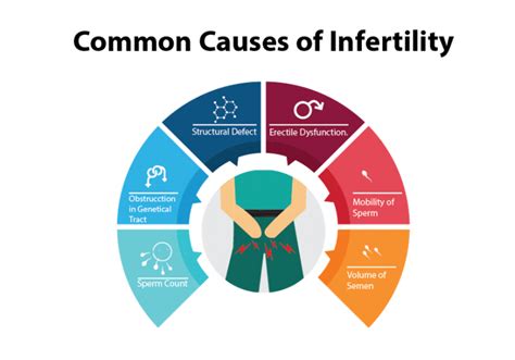 Top 3 Factors Affecting Male Infertility
