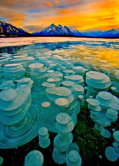 The Frozen Bubbles Of Alberta Canadas Abraham Lake The Dangerous