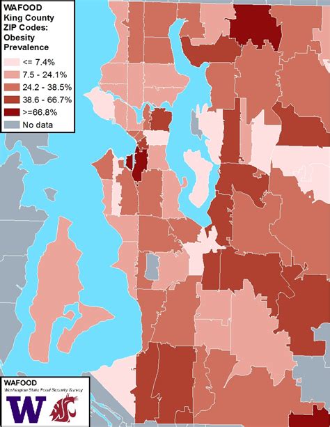 Wafood Brief 6 Mapping Covid 19 Risk Factors By King County Zip Codes