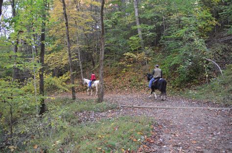 Horseback Riding In Deep Creek Of The Great Smoky Mountains National