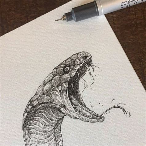 Illustrator Kerby Rosanes Snake Drawing Ink Drawing Illustration