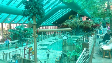 Wild Bear Falls Indoor Water Park Playgrounds Gatlinburg Tn