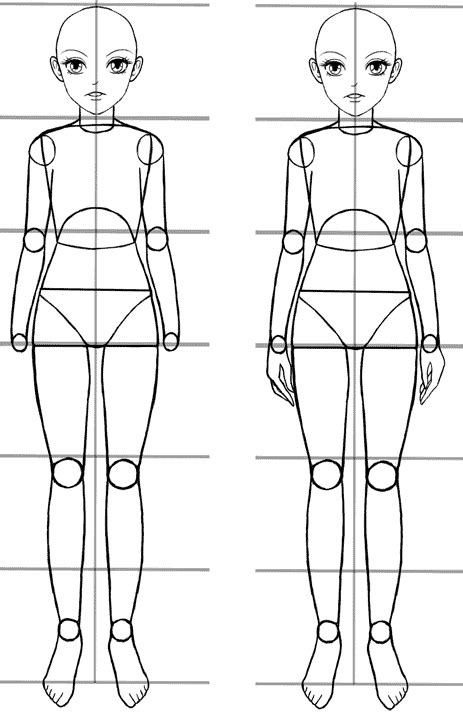 Download this premium vector about female bodysuit. An Easy Anime Body Proportions Tutorial | Body proportions ...