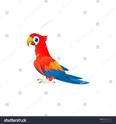 Bright Parrot On White Background Stock Vector Royalty Free