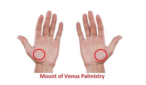 mount of venus palmistry reading and meaning